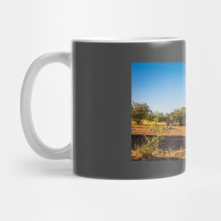 Angus Cow and Calves Mug